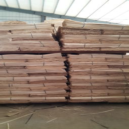 木质型材价格 木皮,杨木皮,杨木单板批发价格 菏泽市